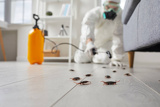 Commercial Kitchen Cockroach Control in Germantown